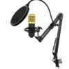 BM-800 Condenser Mic for Gaming, Streaming, Karaoke and Professional Recording