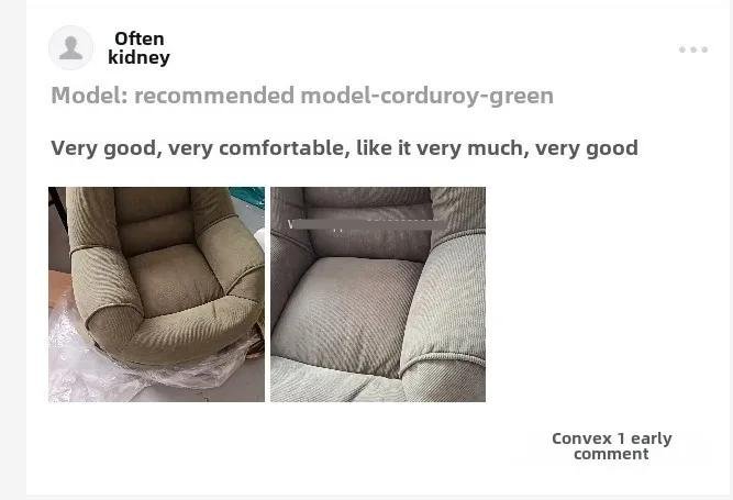 Lazy, Nest, Sofa, Tatami, Balcony, Bedroom, Living Room, Rental House, Small Apartment, Sofa Chair