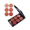 6-Color Blush and Contour All-in-One Palette Pearlescent and Matte Face Sculpting Kit